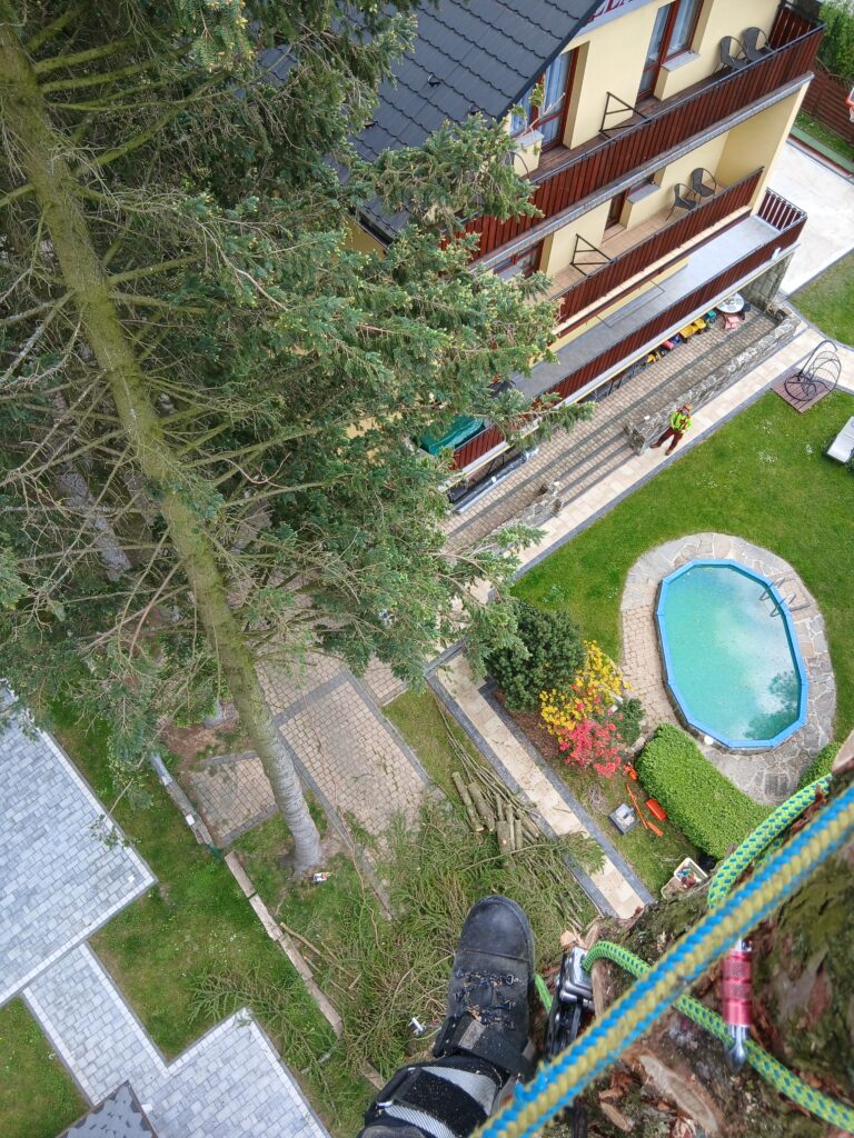Praca arborystyczna na wysokości w Wiśle